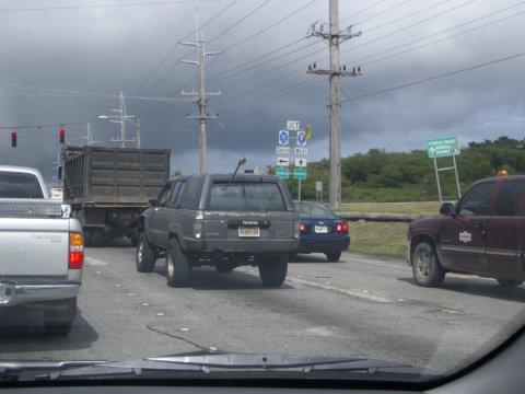 IMGP2546